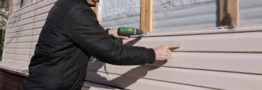 Best Custom Siding Design  in Flora Vista, NM